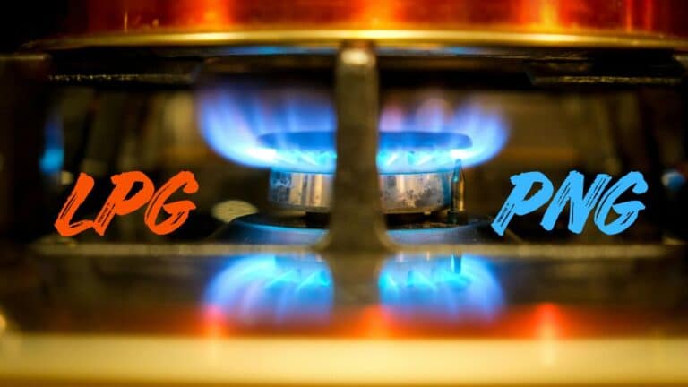 LPG vs PNG
